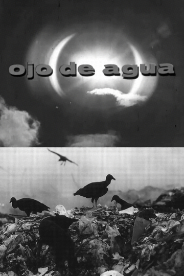 Ojo de Agua Poster