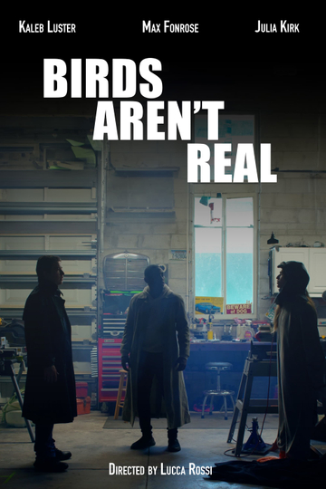 Bird's Aren't Real Poster