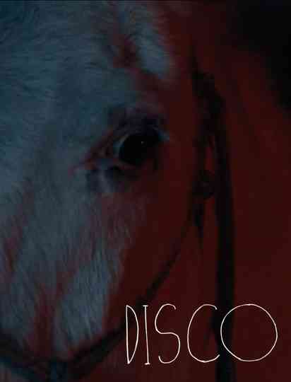 Disco