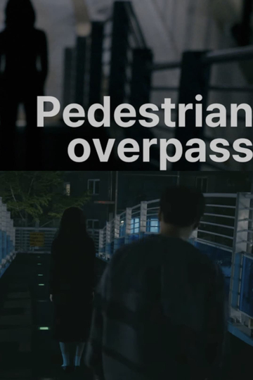 Pedestrian overpass