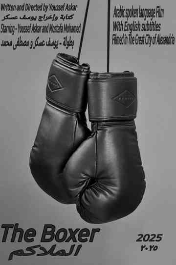 The Boxer