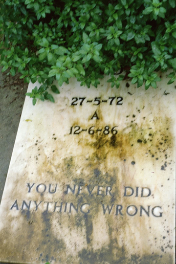 You never did anything wrong, Part 1 Poster