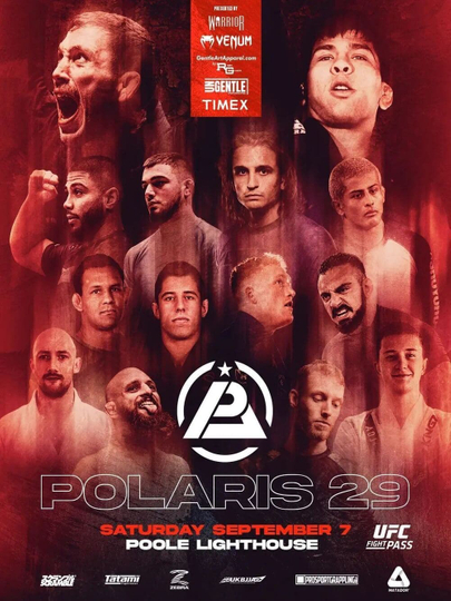 Polaris 29