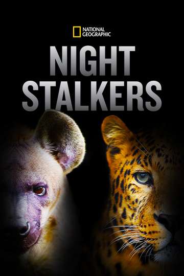 Night Stalkers (2011) - TV Show | Moviefone