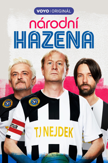 Národní házená Poster