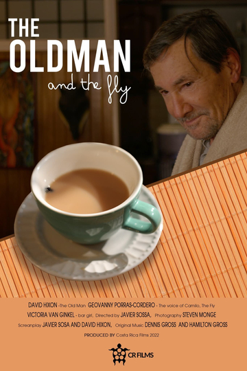 The Old Man and the Fly Poster