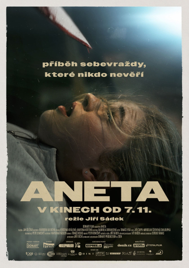 Aneta Poster