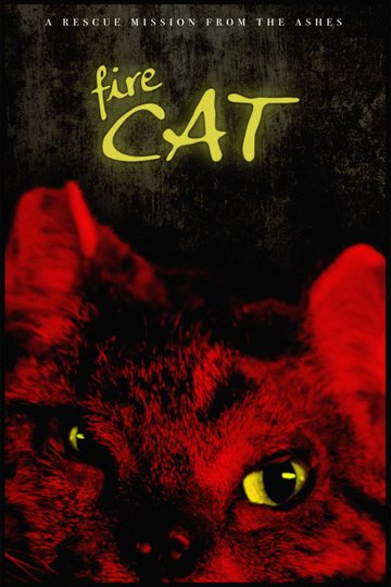 Fire Cat Poster