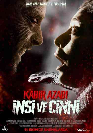 Kabir Azabı: İnsi ve Cinni Poster
