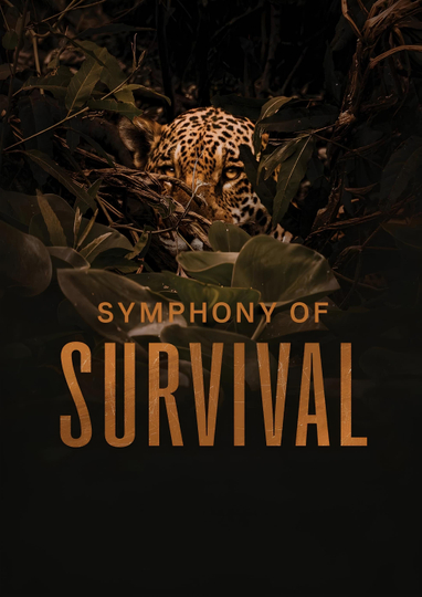 Symphony of Survival Poster