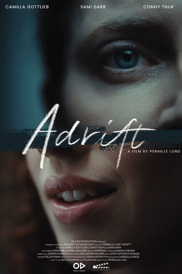 Adrift Poster