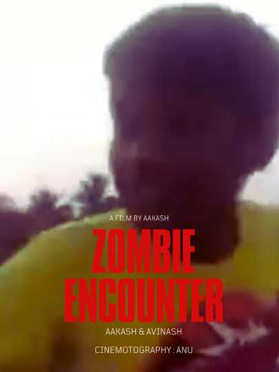 Zombie Encounter