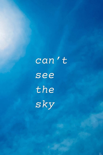 Can’t See The Sky