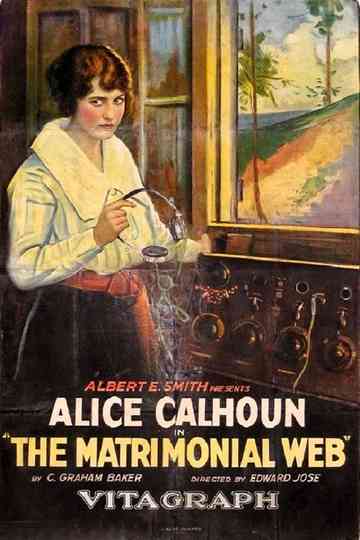 The Matrimonial Web Poster