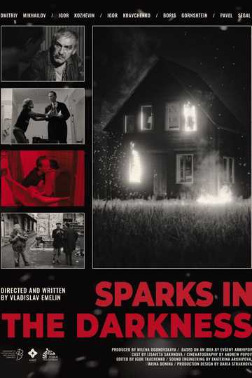 Sparks in the darkness Poster