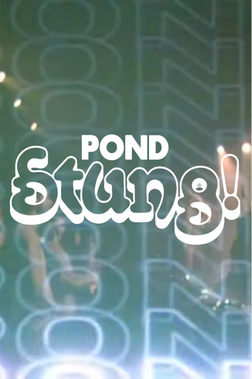 POND - Live in the Lodge Room