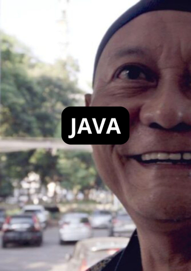 JAVA