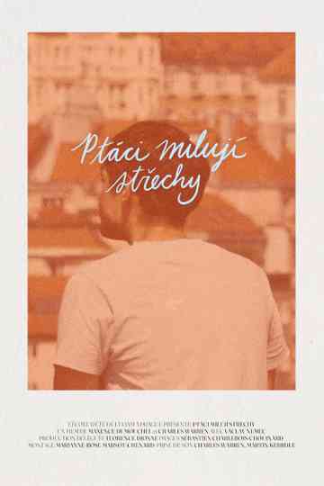 Of Birds and Roofs Poster