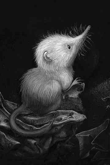 Little Shrew (Snowflake) Poster