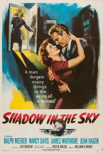 Shadow in the Sky Poster