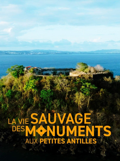 La vie sauvage des monuments aux Petites Antilles