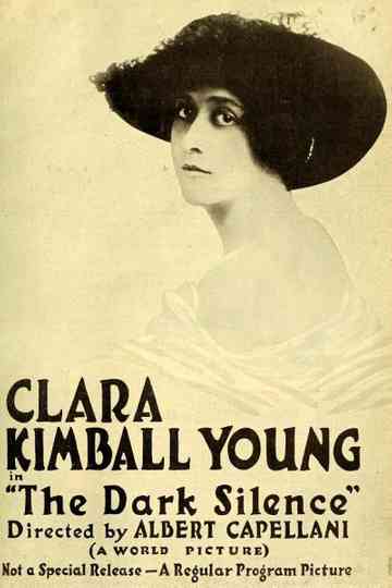 The Dark Silence Poster