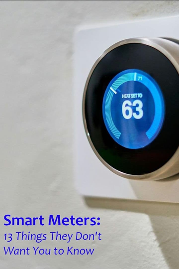 Smart Meters: 13 Things They Don't Want You to Know Poster