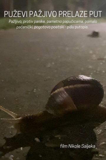 Snails Steadily Stroll the Street