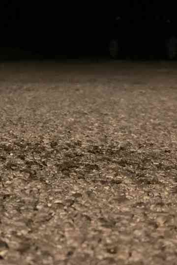 Snails Steadily Stroll the Street 2: Diligent Dirt-Dwellers Dash (Snails Steadily Stroll Lenin Nightcore Remix)