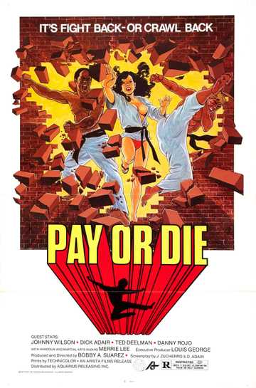 Pay or Die Poster