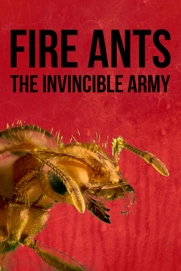 Fire Ants 3D The Invincible Army