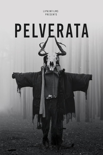 Pelverata Poster