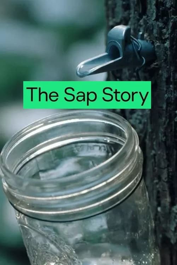 A Sap Story (Hulu Streaming Wonderland)