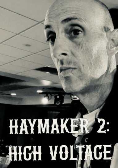 Haymaker 2: High Voltage