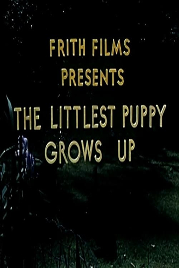 The Littlest Puppy Grows Up Poster