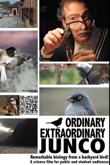 Ordinary Extraordinary Junco