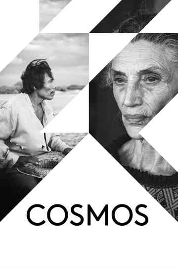 Cosmos poster