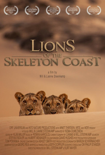 Lions of the Skeleton Coast Poster