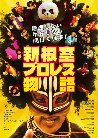 New Nemuro Pro Wrestling Story