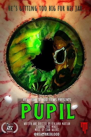 Pupil Poster