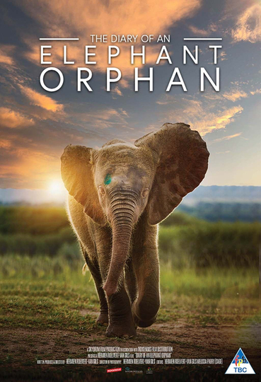 Diary of an Elephant Orphan