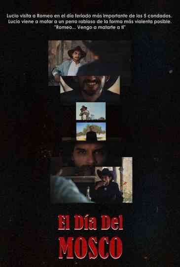 The day of the mosquito