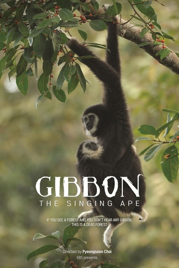 The Singing Ape, Gibbon