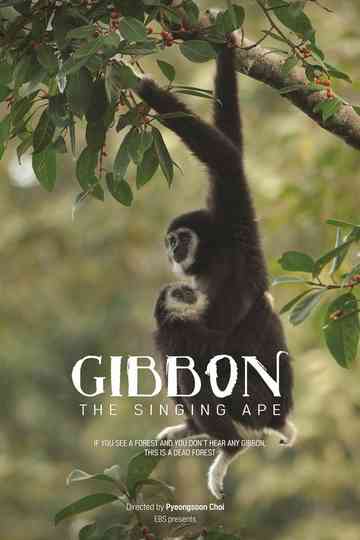 The Singing Ape, Gibbon Poster