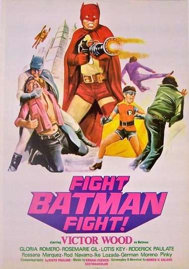 Fight Batman Fight Poster
