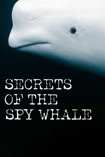 Secrets of the Spy Whale