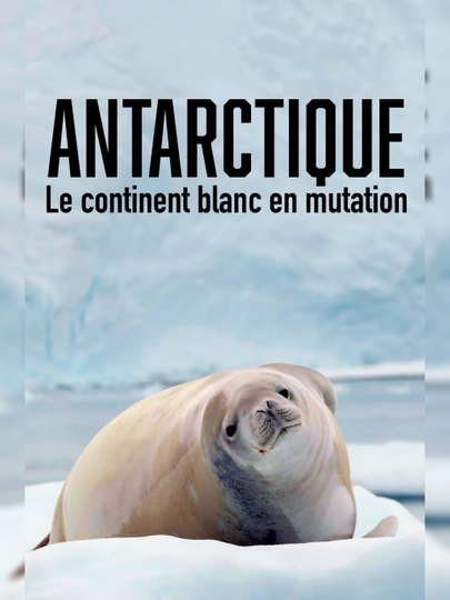 Antarctique - Le continent blanc en mutation