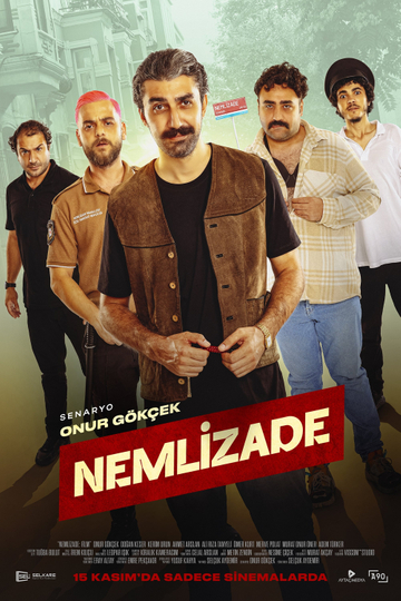 Nemlizade Poster