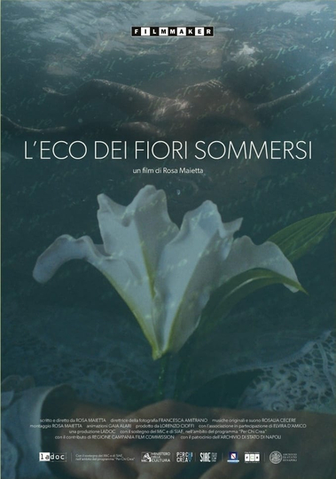 L'eco dei fiori sommersi