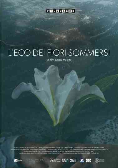L'eco dei fiori sommersi Poster